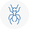 Ant Removals In Upper Norwood