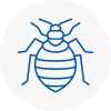 Bed Bug Extermination In Upper Norwood