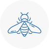 Bee Nest Removal Upper Norwood