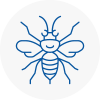 Upper Norwood Hornet Nest Removals