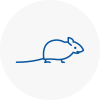 Mice Exterminators In Upper Norwood