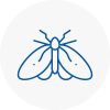 Moth Control Specialists In Upper Norwood