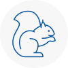Upper Norwood Rodent Removals