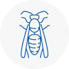 Upper Norwood Wasp Nest Removal